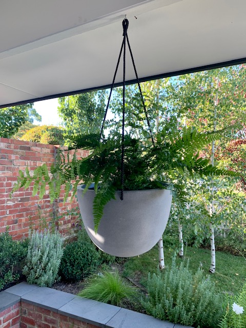 Grey Bonnie Hanging Basket